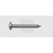 SWG Plaatschroeven 4.2 mm 19 mm Kruiskop Phillips DIN 7981 Staal Verzinkt 100 stuk(s)