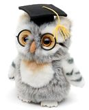 Uni-Toys - Uil (grijs-wit) met doktershoed en bril - 18 cm (hoogte) - pluche vogel - pluche dier, knuffeldier