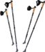 Sportana DEUBA GmbH & Co. KG Nordic Walking Stokken – Telescopisch – 2 Paar – Grijs