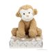 Toi-Toys Pluchen Aap + Knuffeldeken in Geschenkdoos - Bruin