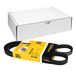 Contitech 4PK1090 V-riem geribbeld