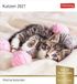 Katzen Harenberg Katzen Postkartenkalender 2027 - Wochenkalender mit 53 Postkarten