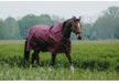 Equitheme Standard 1200d 50g Tapis de sortie Violet 5'9''