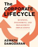 The Portfolio The Corporate Life Cycle