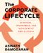 The Portfolio The Corporate Life Cycle