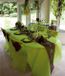 Santex Tafelkleed op rol - non woven polyester - groen - 120 cm x 10 m