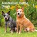Australian BrownTrout Publishers Australian Cattle Dogs 2027 - 16-Monatskalender