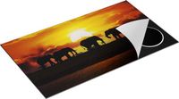 Chefcare Inductie Beschermer Silhouet Olifanten tijdens Zonsondergang - 89,6x51,6 cm - Multicolor
