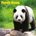 Dayplanner Panda Kalender 2027