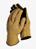 Black Diamond Everyday Softshell Gants - Flax XL
