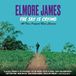 The Elmore James The Sky Is Crying