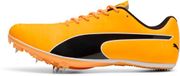 Puma EvoSpeed Sprint 14.5 Unisex Hardloopschoenen Oranje Maat 43