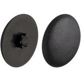 Häfele Cache IS15 pour vis pour plaques de serrage TORX avec étoile intérieure, noir - RAL 9005