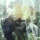 Sonic Mist The Loop Of Love