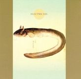 V2 Red Eye Electric Eel - M Koichi - 01 juli 1998