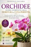Orchidee: Guida completa alla fioritura e cura