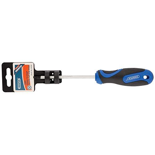 Draper T20 x 100tx-tamperproof S/D-pkd