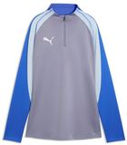 Puma Dames Trainingsjack IndividualBLAZE 1/4 Zip-Top Coton Gris