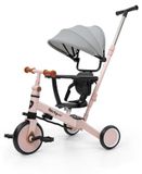OEM Tricycle 5-en-1 et vélo d'équilibre, rose, pour les enfants de 1 à 5 ans, poids maximum : 25 kg