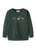NAME IT Sweatshirt 'NMMNilius' lichtblauw / chocoladebruin / pastelgroen / donkergroen