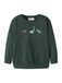 NAME IT Sweatshirt 'NMMNilius' lichtblauw / chocoladebruin / pastelgroen / donkergroen