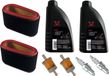 perfektGarten Alpina Bougie d'allumage + filtre + huile SAE30 pour AT5 84 AT7 102 BT 98 HC SD C108 18550199