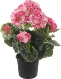 Louis Maes Geranium Kunstbloemen - in pot - roze/creme - H35 cm