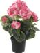 Louis Maes Geranium Kunstbloemen - in pot - roze/creme - H35 cm