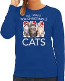Bellatio Decorations Shoppartners Bv Kitten Kerst sweater / kersttrui All I want for Christmas is cats blauw voor dames - Kerstkleding / Christmas outfit XL