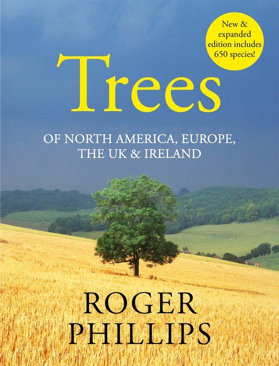 Trees Macmillan Publishers Ireland Limited Trees in Britain: Of North America, Europe, the UK & Ireland Hardcover