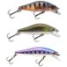 Daiwa Minnow Tournament Wise 50 mm