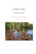 Cobbs Creek: Autumn Colors