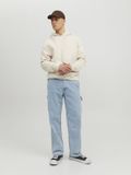 JACK & JONES Eddie Utility loose fit heren jeans denimblauw