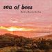 Build Sea Of Bees Build A Boat To The Sun