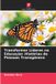 Transformar Edicoes Nosso Conhecimento Transformar Líderes na Educação Paperback