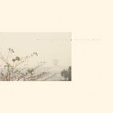 Golden Wild Nothing - Golden Haze (LP) (Coloured Vinyl)