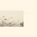 Golden Wild Nothing - Golden Haze (LP) (Coloured Vinyl)