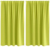 vidaXL Blackout Gordijnen met Ringen 2 st Groen 140 x 140 cm Polyester