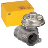 HELLA 6NU 010 171-011 EGR-klep - 12V - Pneumatisch - Zonder pakking