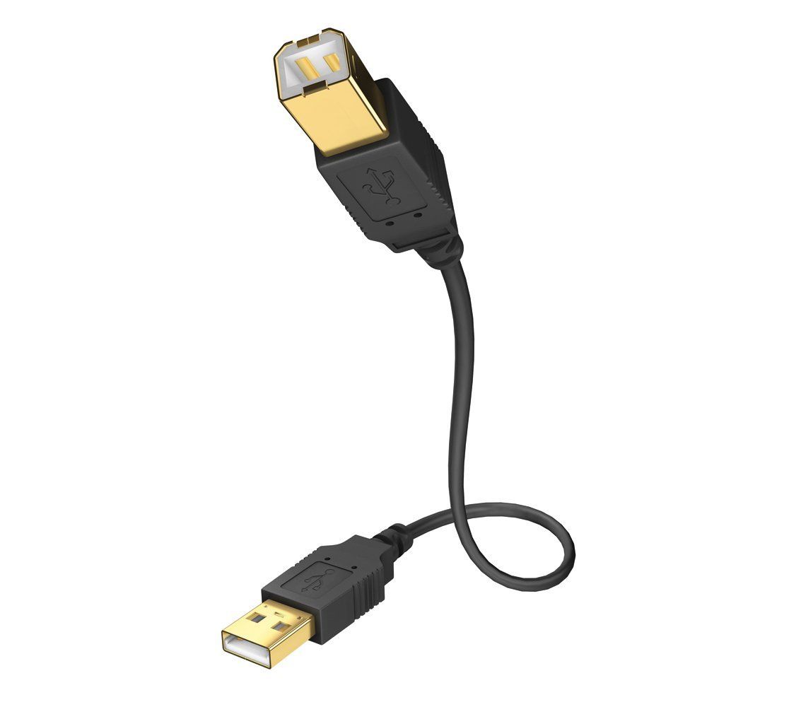 Inakustik 01070001 USB-kabel 1 m Zwart