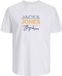 Jack & Jones Canggu Crew Neck Shirt Heren (plussize) - Maat XXL