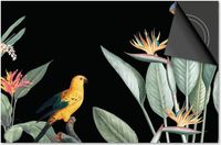 Dietrix Inductie Beschermer 60x60 - Jungle Zwart Bladeren Vogel