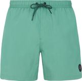 Protest Faster Zwemshort Heren Frosty Green 3XL