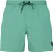 Protest Faster Zwemshort Heren Frosty Green 3XL