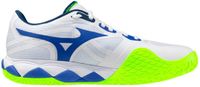 Mizuno Wave Enforce Tour 2 Cc Schoenen Wit EU 43 Man