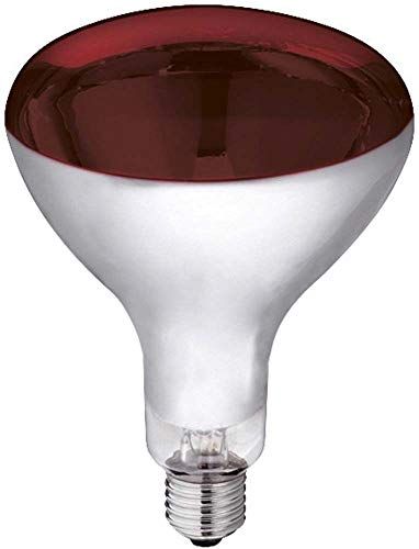 Kerbl Infraroodlamp rood (250 W, warmtelamp voor varken + gevogelte, looptijd max. 5000 uur, lampvoet E27, stallamp) 22245