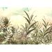 Papier peint panoramique - Plantes tropicales - 325 cm x 230 cm