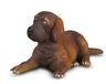 Collecta Dogue Allemand Chiot Figurine 7.2x2.6x3.3cm