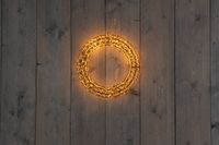 Anna's Collection 36Cmx5Cm Krans Zwart 800Led Classic Warm