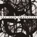 Walk The Folk Implosion - Walk Thru Me (LP) (Coloured Vinyl)